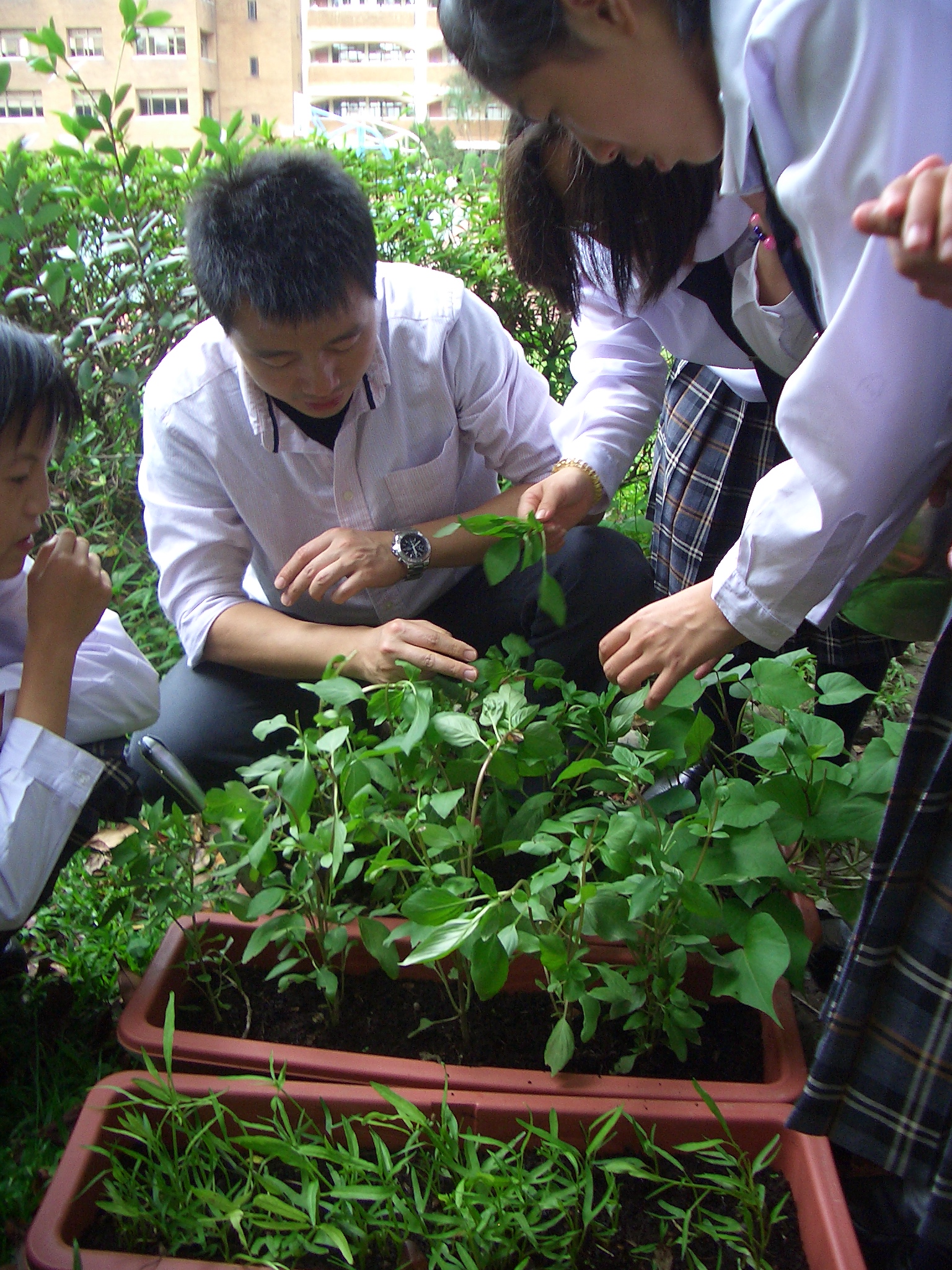 �M�~�ҵ{�ǲ�(�~�a�@�z)